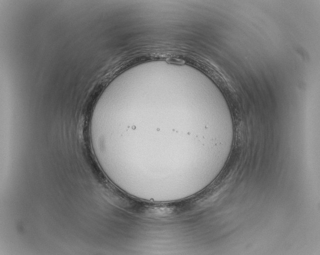 X0000115170217200911181413