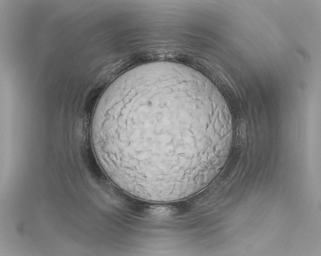 X0000115170218200911181413