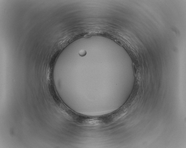 X0000115170219200911181413