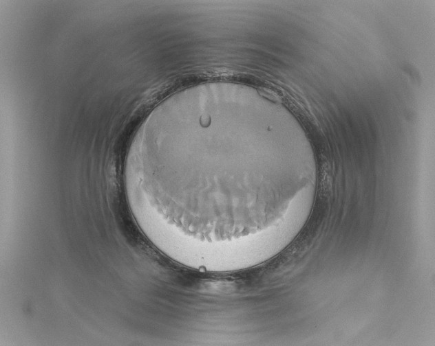 X0000115170220200911181413