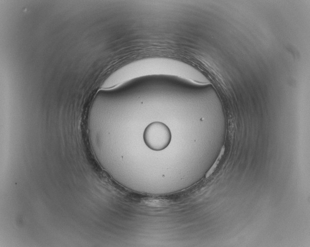 X0000115170221200911181413