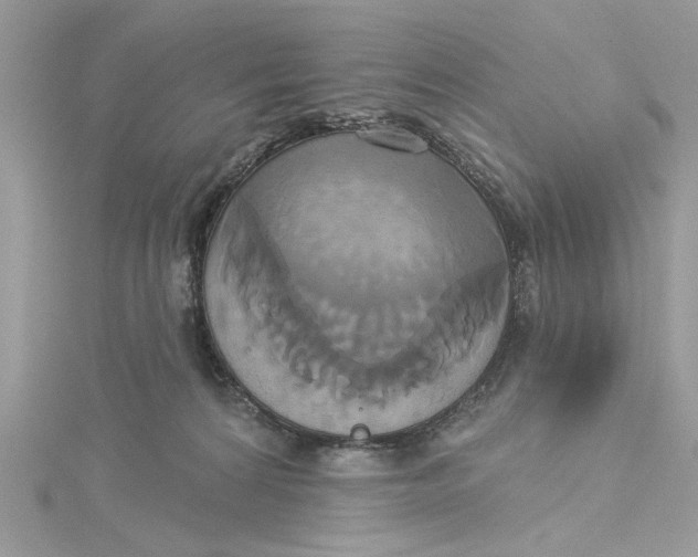 X0000115170224200911181413