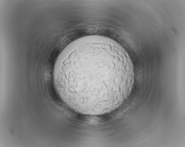 X0000115170226200911181413