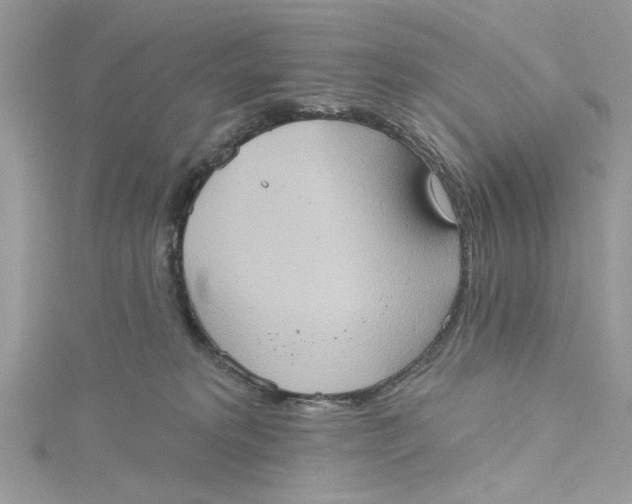 X0000115170229200911181413