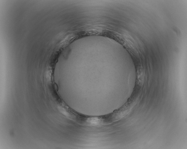 X0000115170231200911181413