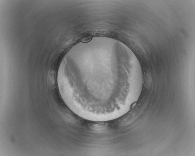 X0000115170232200911181413