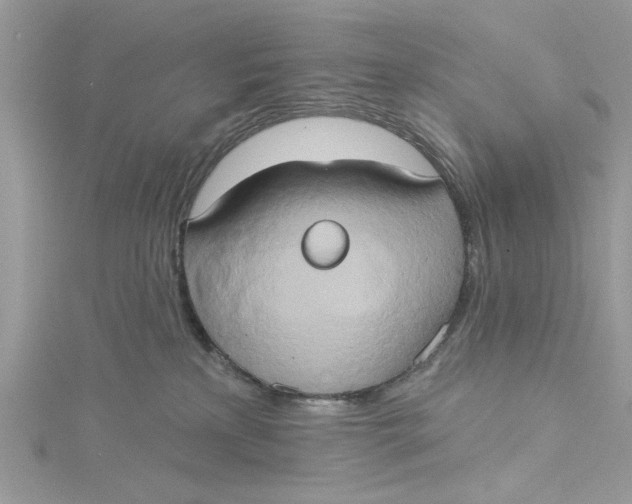 X0000115170233200911181412