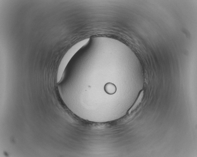 X0000115170235200911181412