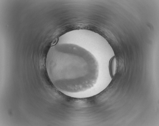 X0000115170236200911181412