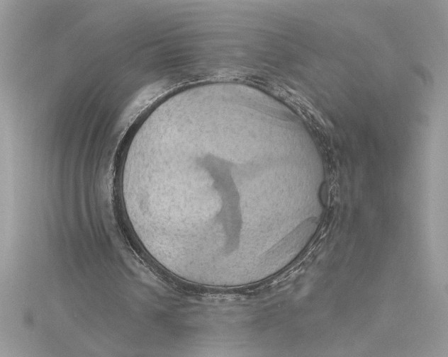 X0000115170242200911181412