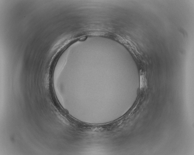 X0000115170243200911181412