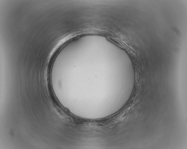 X0000115170244200911181412