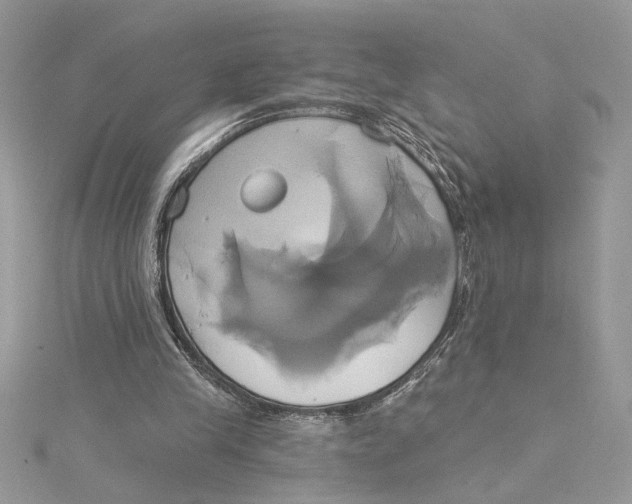 X0000115170245200911181412