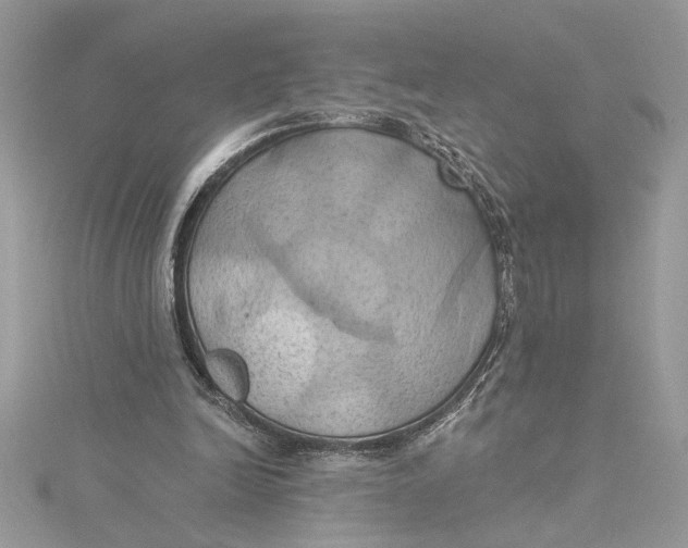 X0000115170246200911181412