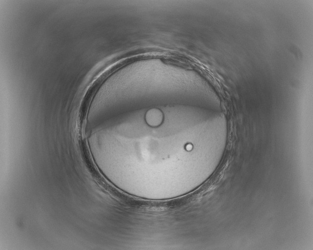 X0000115170247200911181412