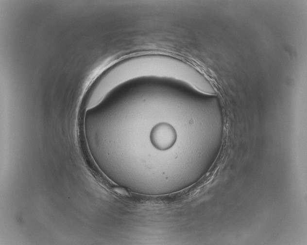 X0000115170248200911181412