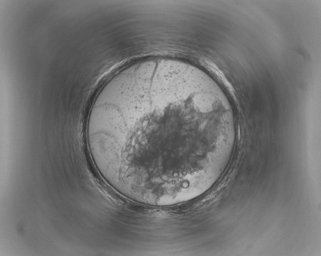 X0000115170249200911181412