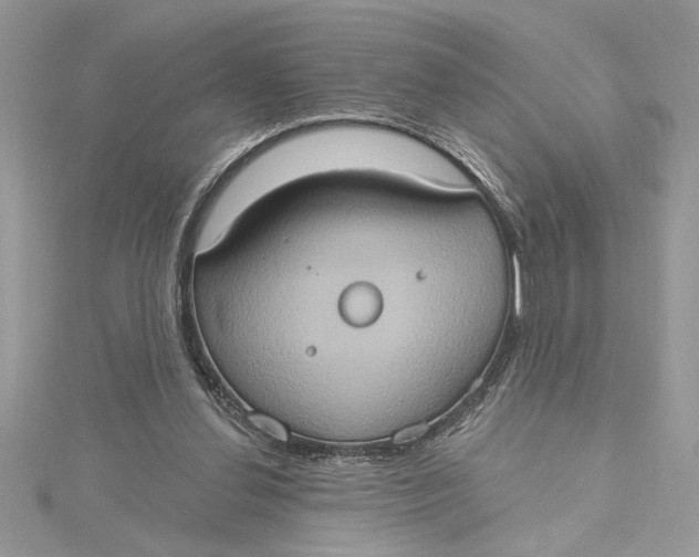 X0000115170252200911181412