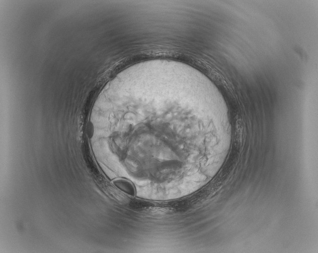 X0000115170255200911181412