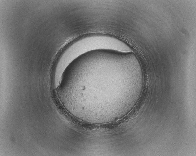 X0000115170256200911181412