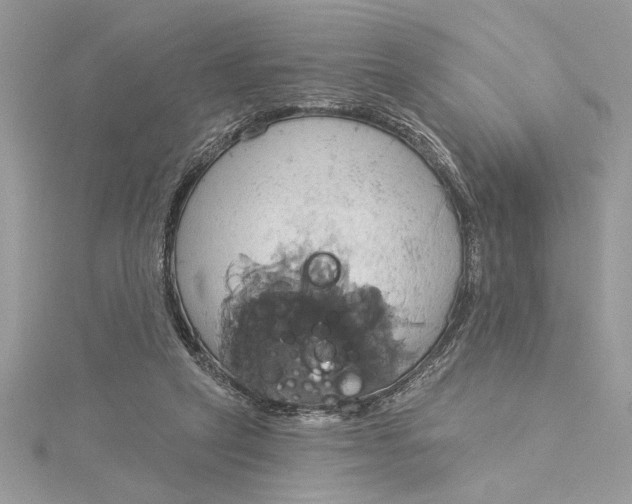 X0000115170257200911181412