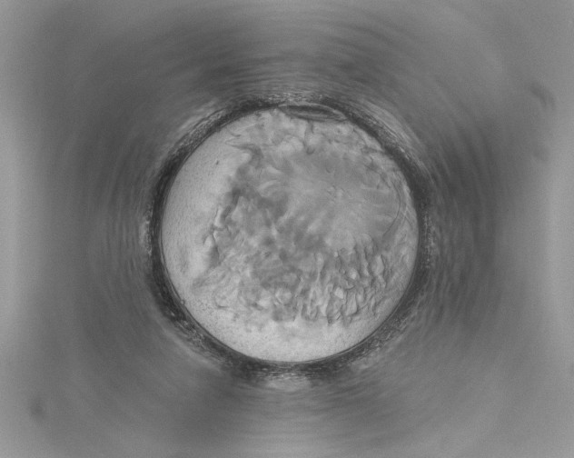 X0000115170258200911181412