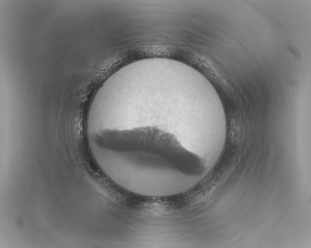 X0000115170259200911181412