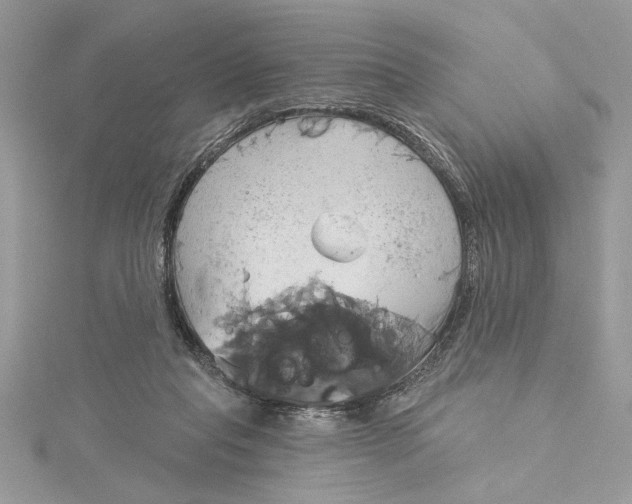 X0000115170261200911181412