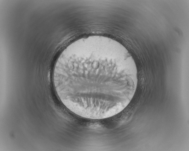 X0000115170262200911181412