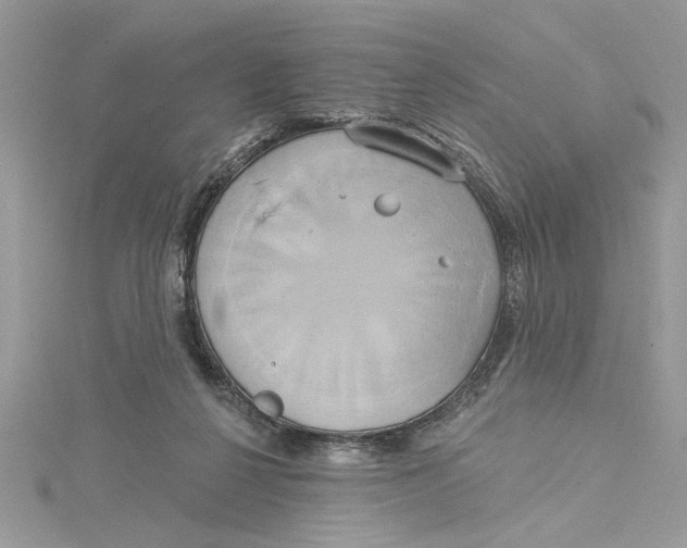 X0000115170264200911181412