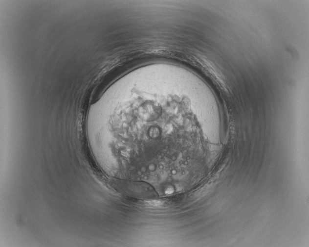 X0000115170265200911181412