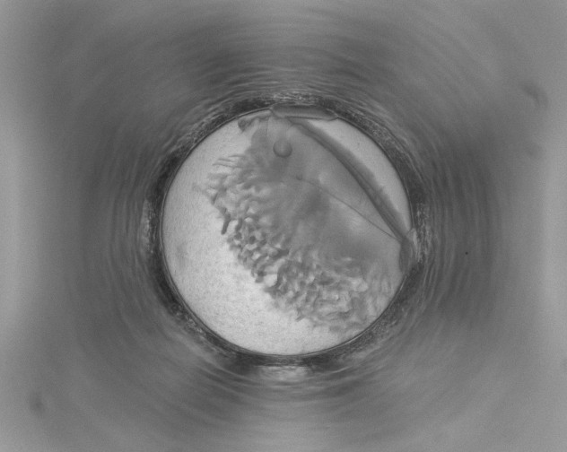 X0000115170266200911181412