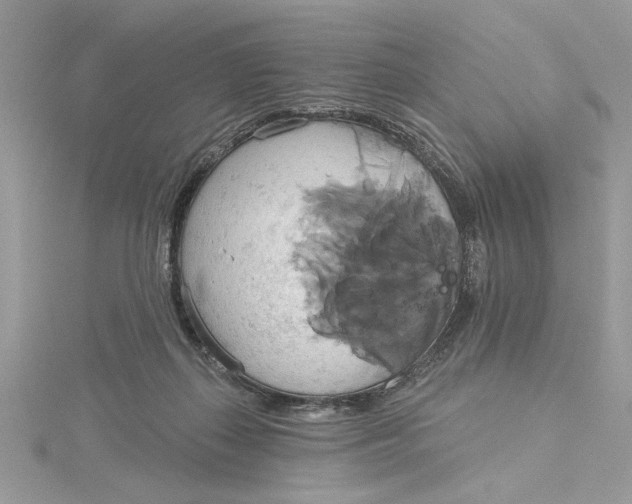 X0000115170267200911181412