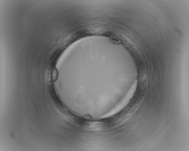 X0000115170268200911181412