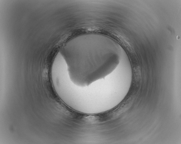 X0000115170269200911181412