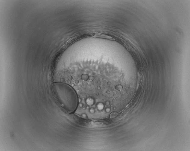 X0000115170270200911181412