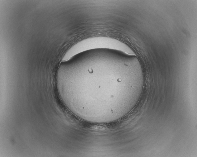 X0000115170272200911181412