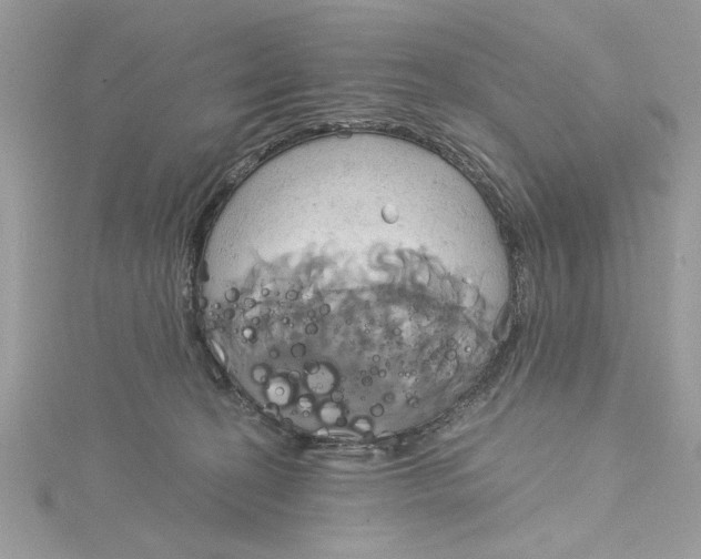 X0000115170274200911181412