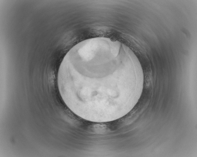 X0000115170279200911181412