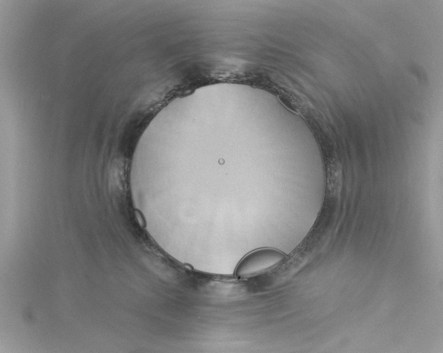 X0000115170280200911181412