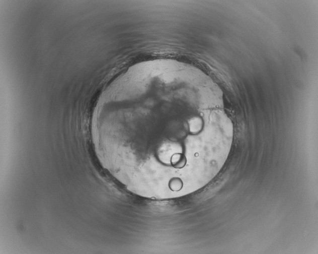 X0000115170281200911181412