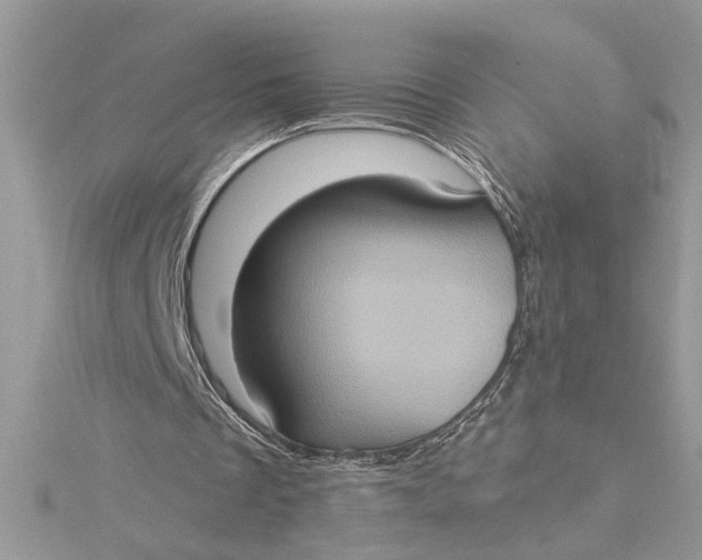 X0000115170289200911181412