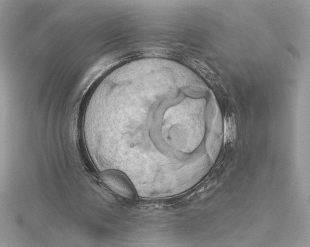 X0000115170291200911181412