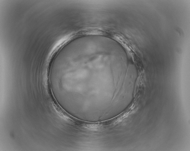 X0000115170293200911181412