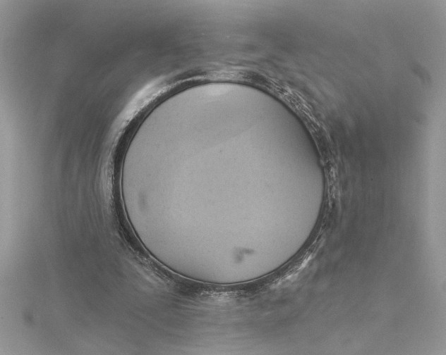 X0000115170295200911181412