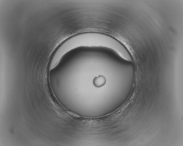 X0000115170297200911181412