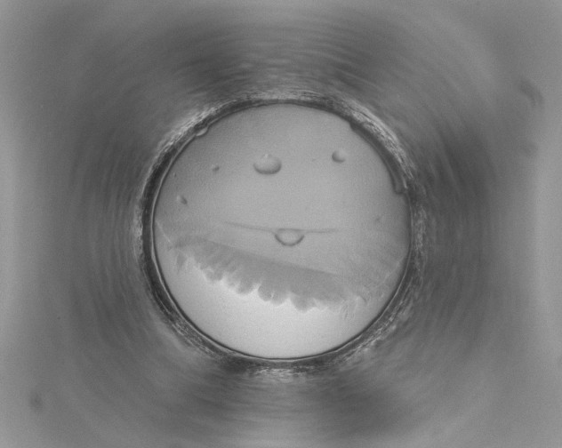 X0000115170298200911181412