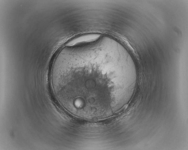 X0000115170299200911181412