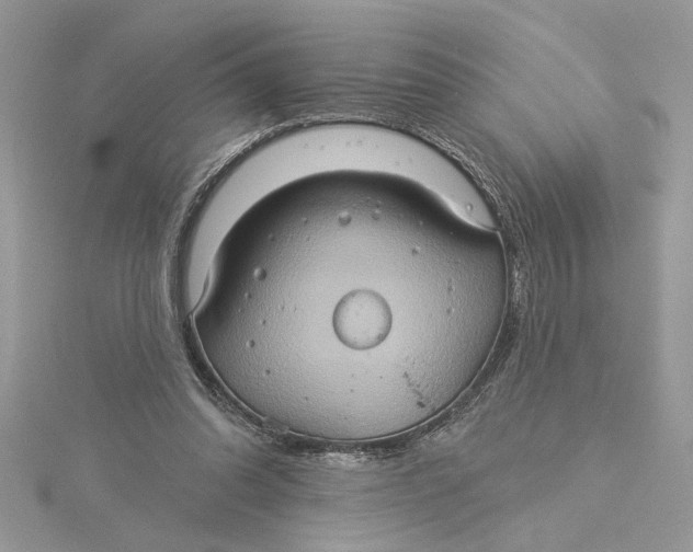 X0000115170302200911181412