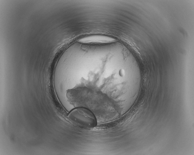 X0000115170303200911181412